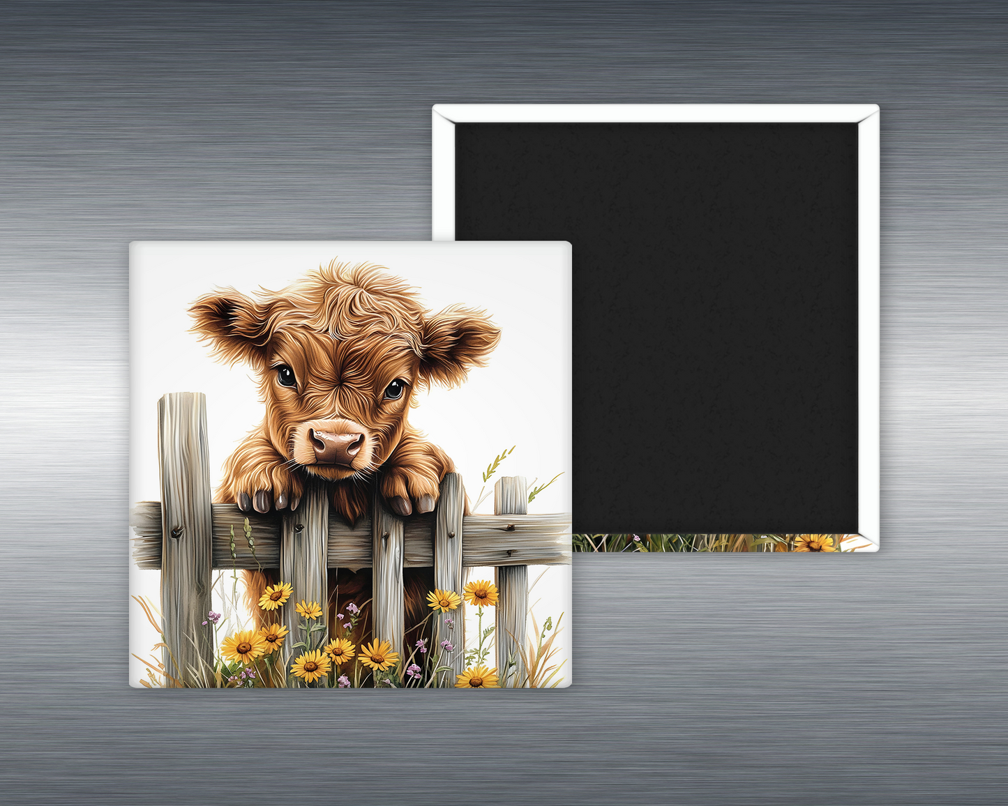 Baby Highland Cow #8