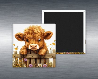 Baby Highland Cow #11