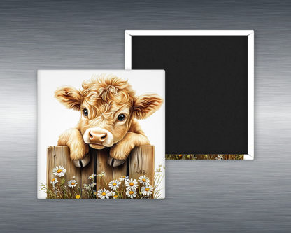 Baby Highland Cow #12