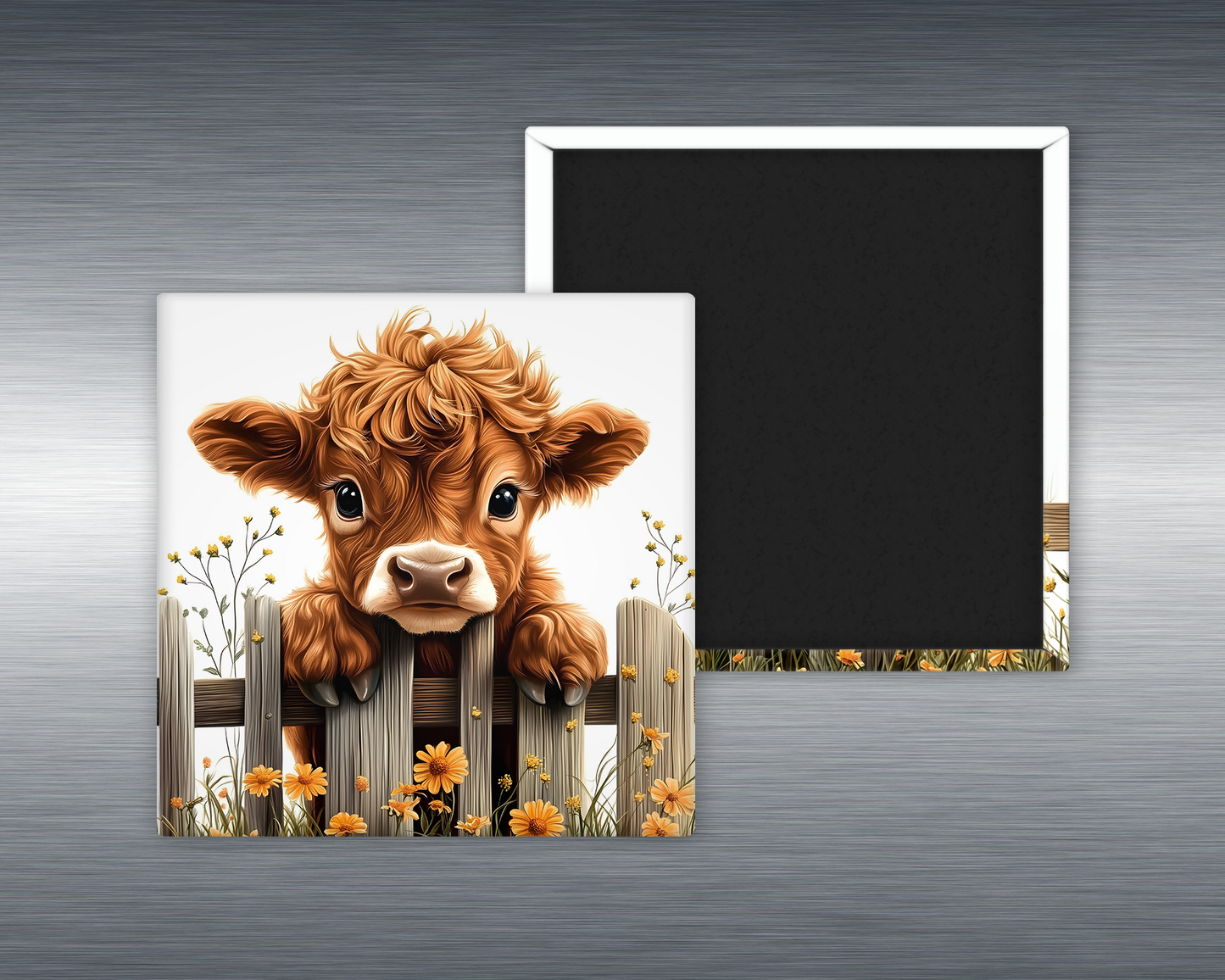 Baby Highland Cow #5