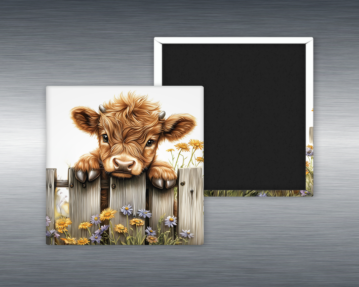Baby Highland Cow #7