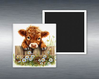 Baby Highland Cow #9